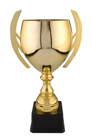 Cupe Sportive CS 09